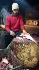 Fish Cleaning Process