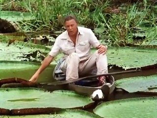The Living Planet (1984)  E08 - Sweet Fresh Water