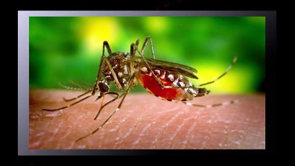 Autos y más- miércoles 27 de agosto 2025