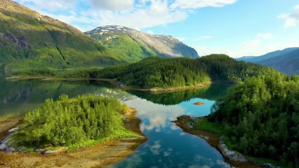 Healing Nature Music 🍃 Calm Melodies to Soothe Heart & Circulation #41