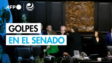 Senadores mexicanos se pelean tras debate sobre EU