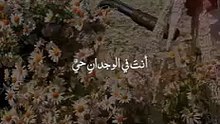 Islamic videos