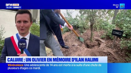 Antisémitisme : un olivier planté à Caluire en mémoire d'Ilan Halimi