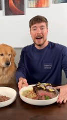 Feeding A Dog _1 vs _10_000 Steak