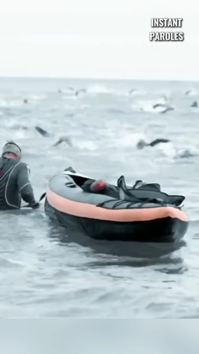 Il permet à son frère atteint de paralysie cérébrale de réaliser un Ironman