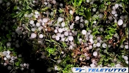 Video News - Condifesa per gli agricoltori