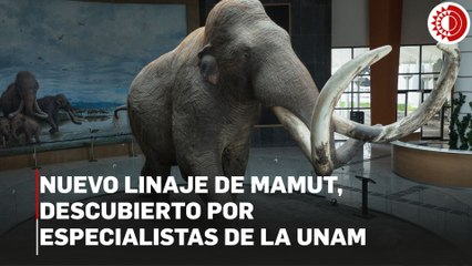 Especialistas de la UNAM descubren nuevo linaje de mamut