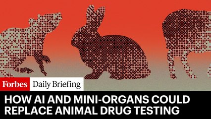 This Technology Could Finally End Animal Testing