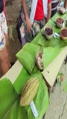 El Secreto del Cacao de Baracoa: Así nace el MEJOR chocolate de Cuba.