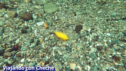 Encontré un RÍO de CRISTAL en Cuba (El secreto de Veguitas del Sur)