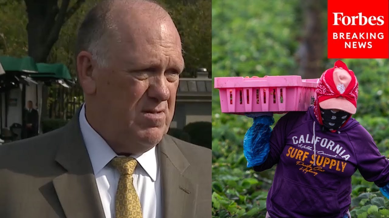 Tom Homan Asked About 'Compromise' Between Enfo...