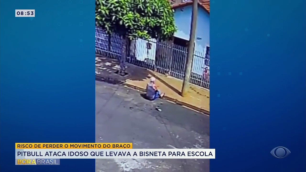 Homem de 78 anos é atacado por pitbull no interior de São Paulo