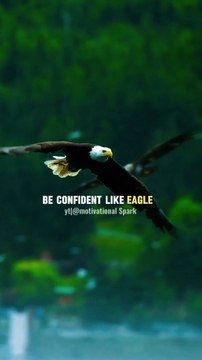 Be confident like an eagle 🔥💯#shorts #motivation #quotes #attitude #lion