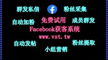 脸书点赞：脸书点赞软件单号一天可私信发送500条，不限账号
