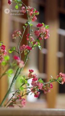 Cinta Dimulai Setelah Menikah - Part 1/2 - Drama China Sub Indo