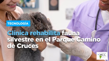Clínica rehabilita fauna silvestre en el Parque Camino de Cruces