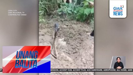 Nawawalang trabahador, natagpuang nakasilid sa sako at nakalibing sa Brgy. Pung-ol Sibugay | Unang Balita