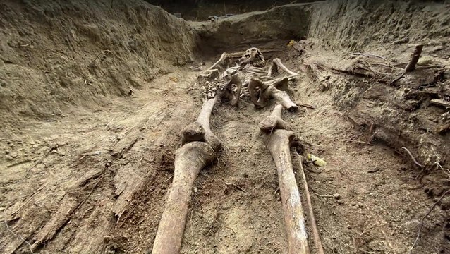 Polish Archaeologists Unearth Remains Of Nuns Executed By Soviets