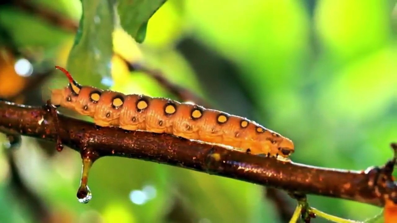 WORLD HIDDEN WONDERS