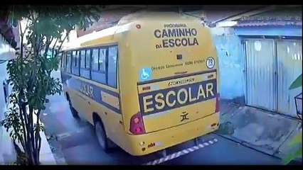 Câmera flagra ônibus escolar atropelando cachorro em Marechal Deodoro