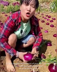 Fresh fruits & veggies from the garden!