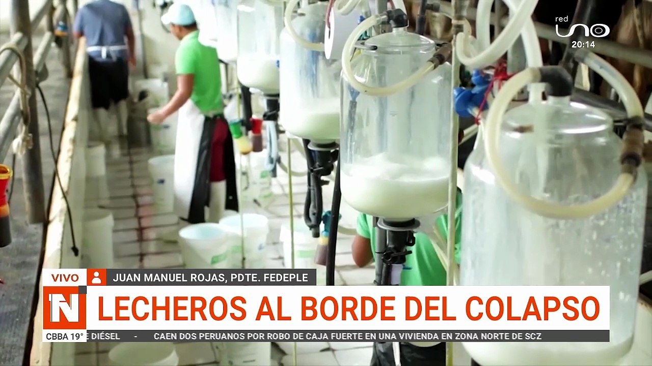 LECHEROS AL BORDE DEL COLAPSO