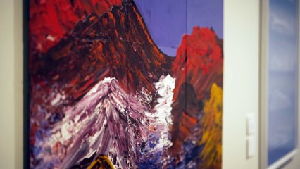 Athlete-turned artist takes out lucrative Australian landscape art prize depicting floods