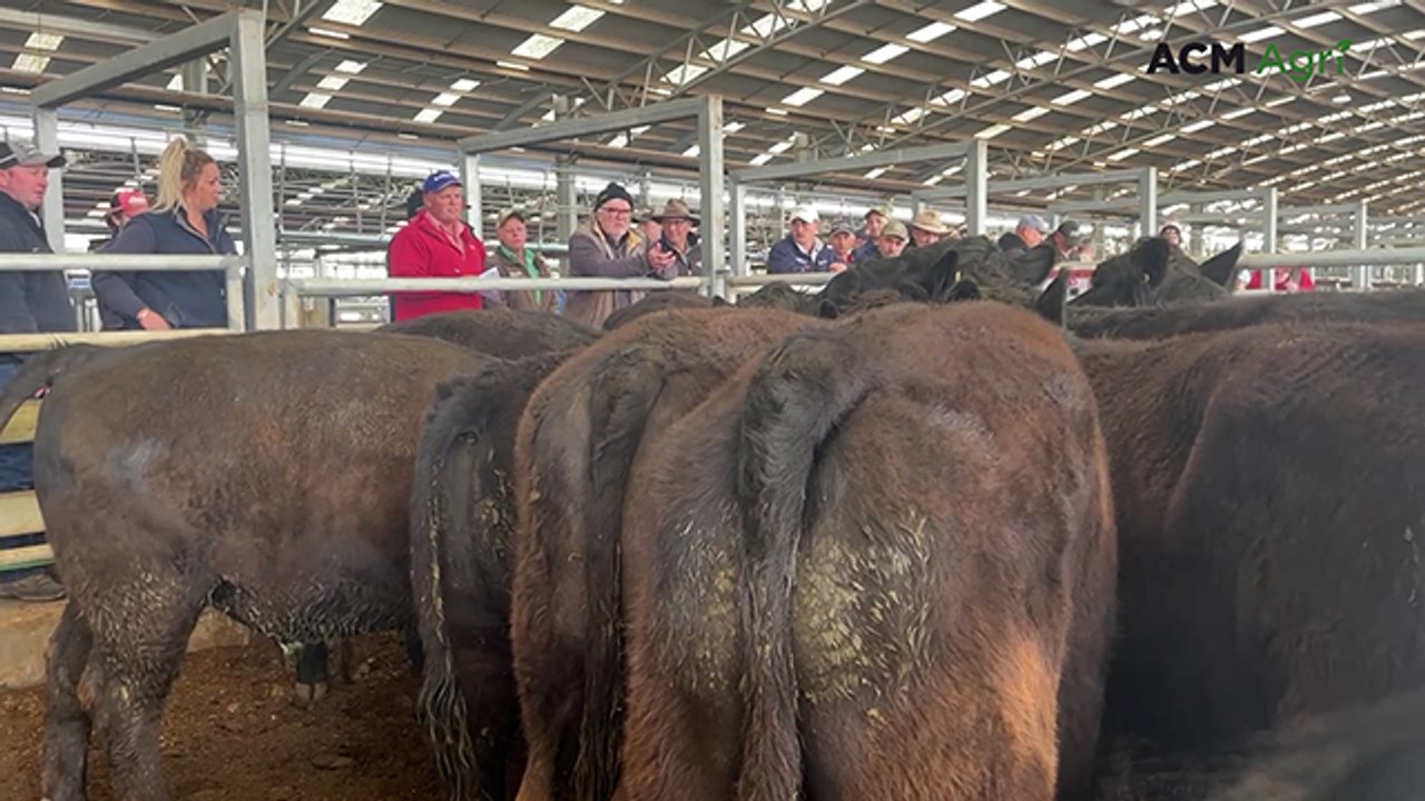 Naracoorte store sale - August 2025