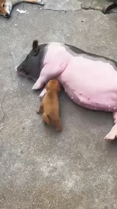 😍