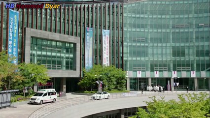 Yong-pal EP.14 Hindi Dubbed