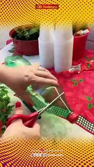 Tips Trick Today, Jumat 29 Agustus 2025