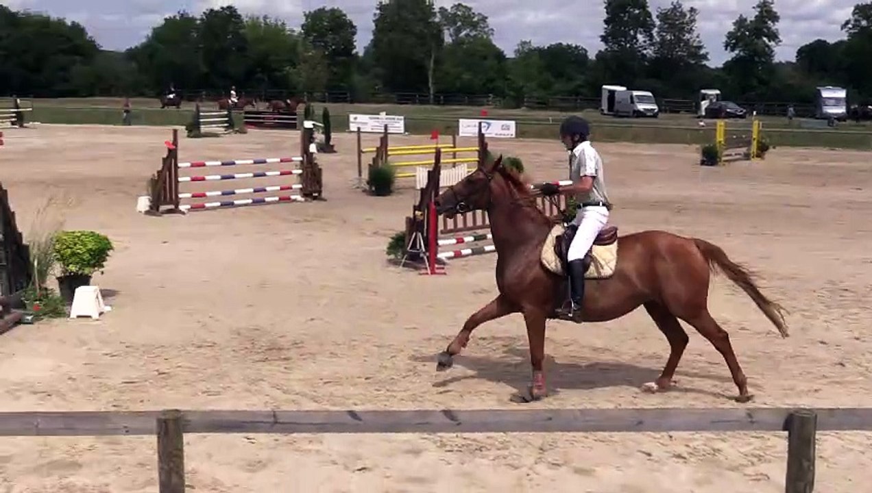 ILE BRAGARD 30-07-2017 Amateur 2 Grand Prix (1,10 m) 07