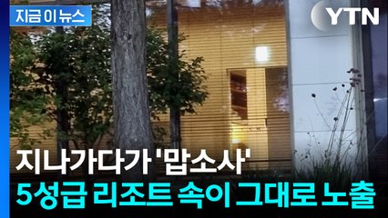 벌거벗은 사람들이 훤히?...5성급 리조트 사우나 노출 사태 [지금이뉴스] / YTN