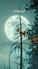 My Werewolf Fiancé Is Not Who He Seems