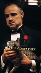 Top 10 sigma male movies