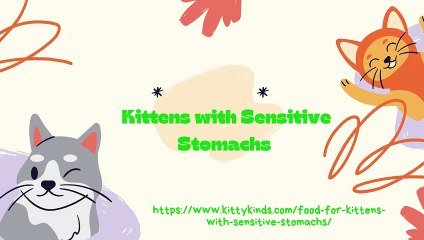 Kittens with Sensitive Stomachs
