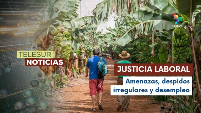En Panamá los bananeros exigen el pago de sus prestaciones tras despidos