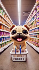 Foodie Dog on a Mission! Hauls Snacks & Noodles for a Tasty Feast with Owner! 🍜😋#shorts #dog #cute