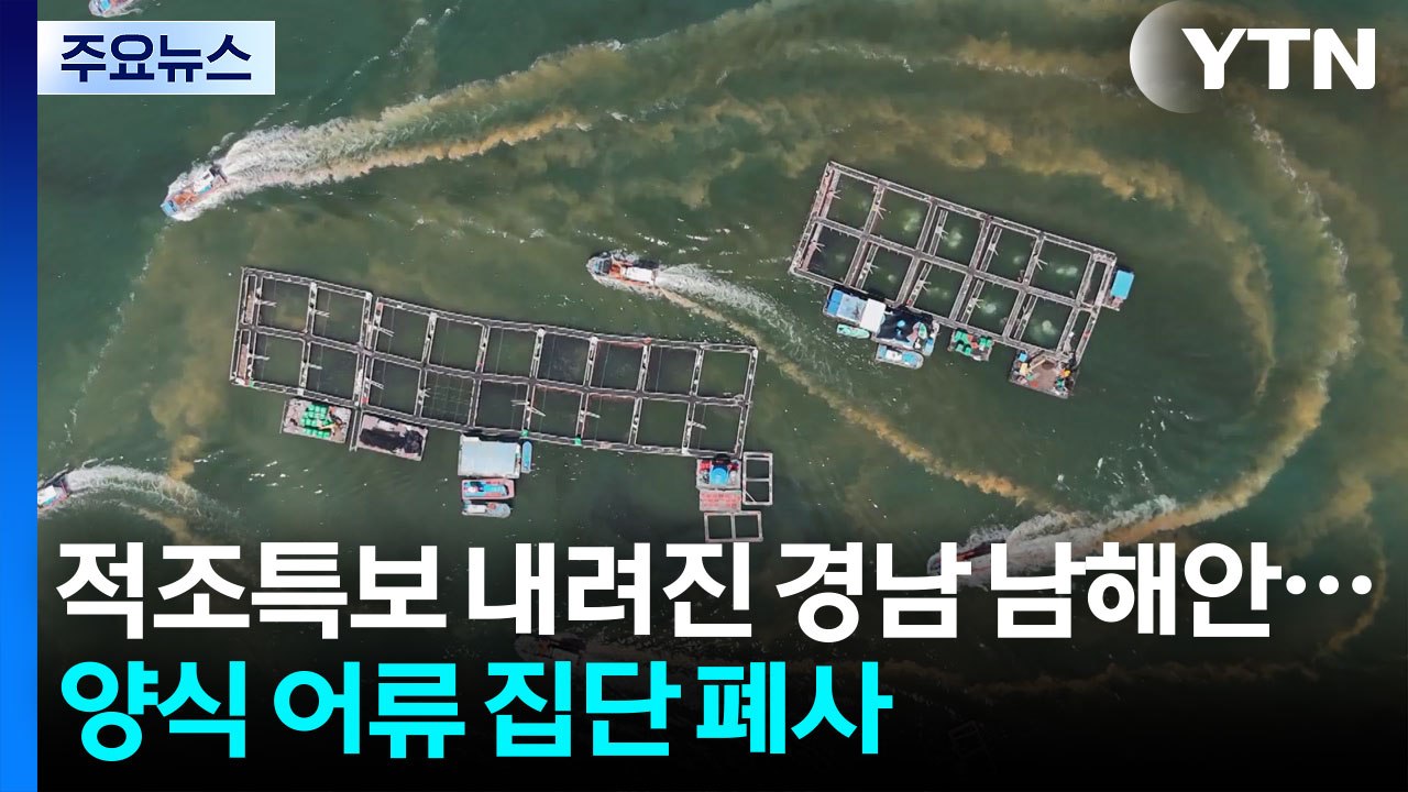 적조특보 내려진 경남 남해안...양식 어류 집단 폐사 / YTN