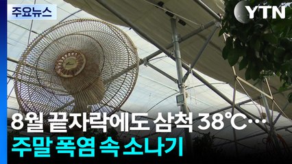 8월 끝자락에도 삼척 38℃...주말 폭염 속 곳곳 소나기 / YTN