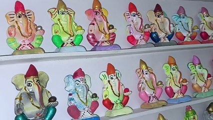 एक इंचांपासून सहा इंचांपर्यंत... 43 हजार 500 गणेश मूर्तींचा साठा, संजय क्षत्रिय यांची 30 वर्षांची अनोखी गणेश साधना
