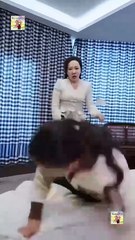 Step Aside, I Am Rewriting My Story Full Hd