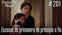 Escenas de primavera de principio a fin