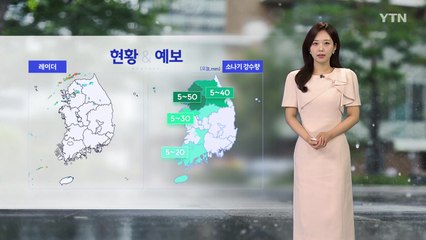 [날씨] 수도권·영서 소나기...주말까지 강한 비 / YTN