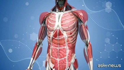 La Lombardia istituisce FibroNet Care: la rete della fibromialgia