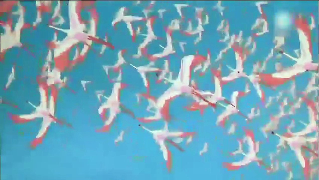 Kimba el león blanco (1997)