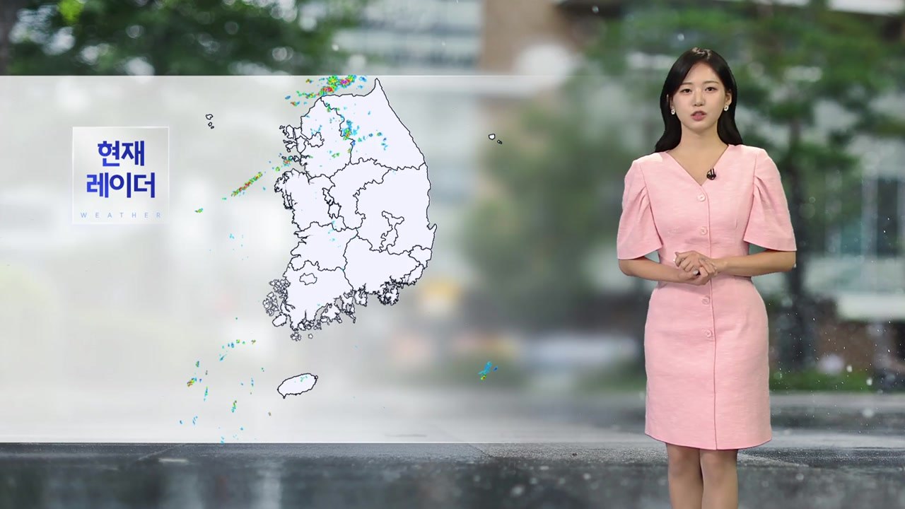 [날씨] 수도권 무더위 계속...내일 전국 소나기 / YTN