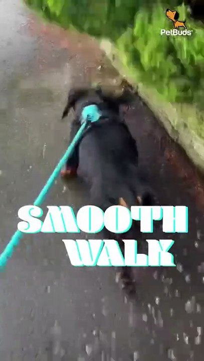 Walks made easy.