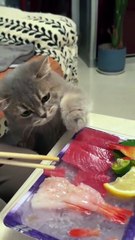 I’m so greedy, really so greedy