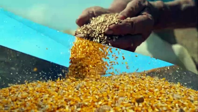 Mariana Grilli: Agronegócio quer apostar em medir carbono no solo para acessar mercado de créditos